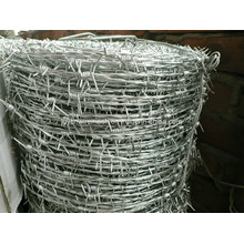 Electro e Hot Dipped Hot Dipped Barbe Wire (fabricante especializado)